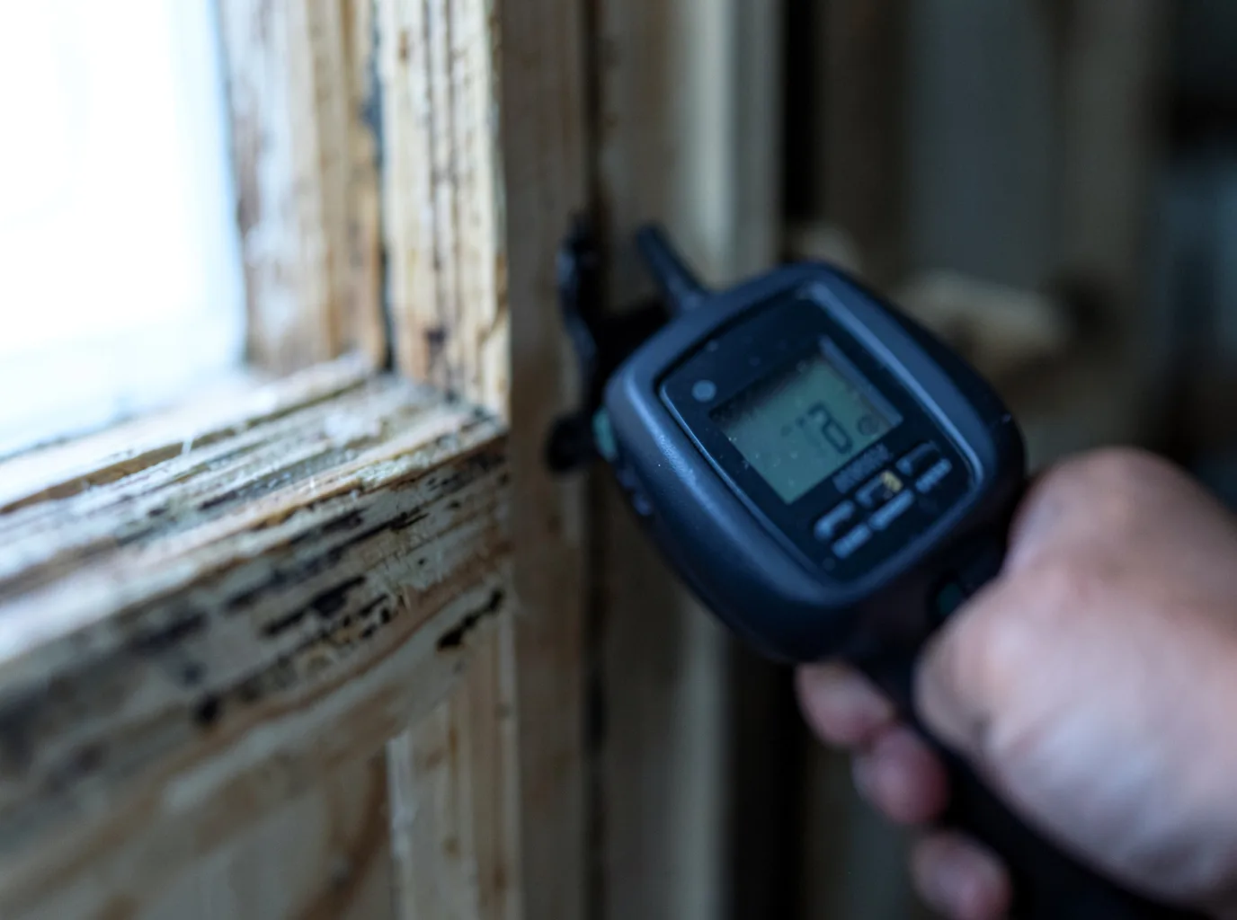 Moisture Inspection And Documentation in Ganado, TX